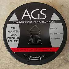 AGS Thru Hunter Pointed Pellets .22 (12.7gr/500)